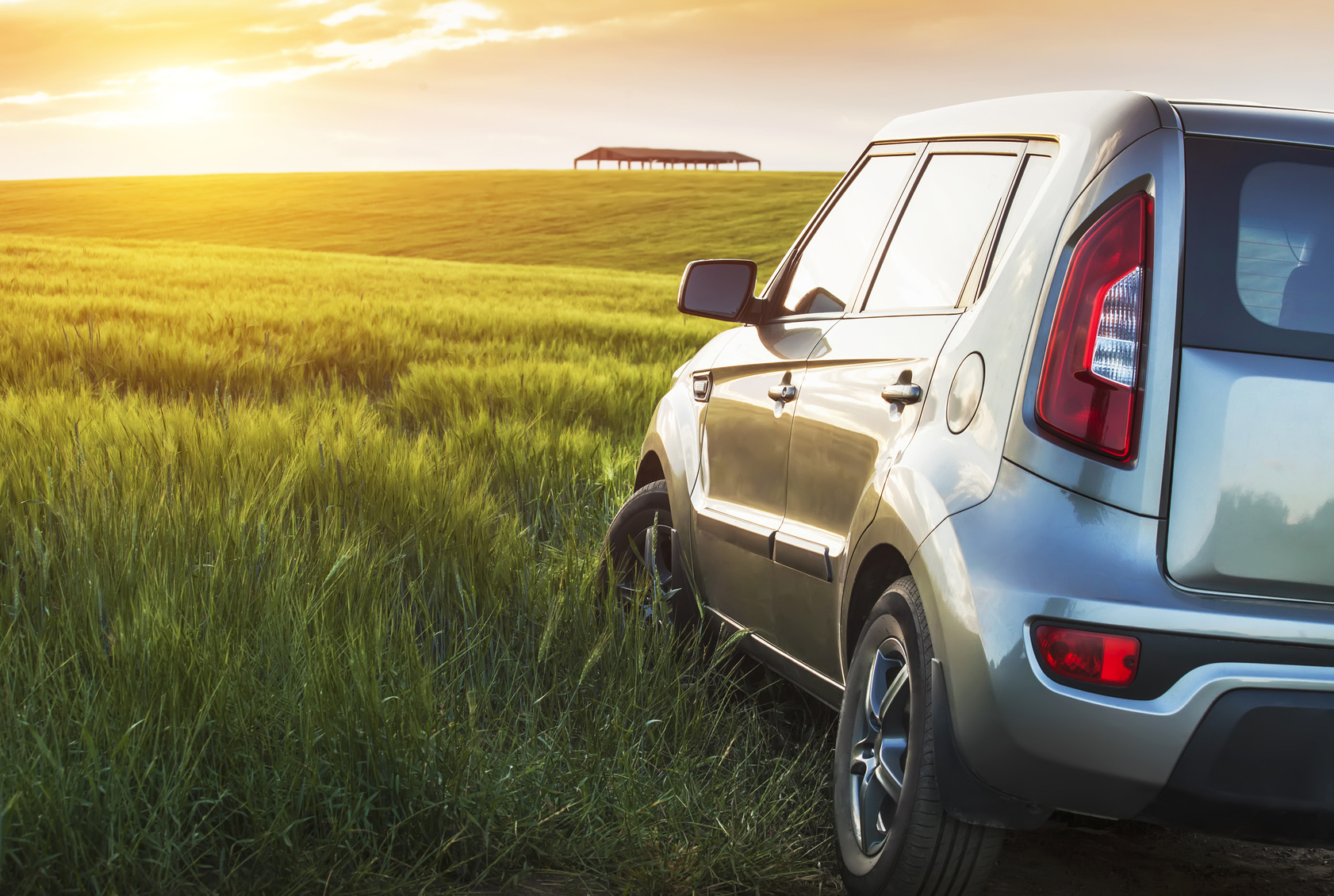 Car in field
