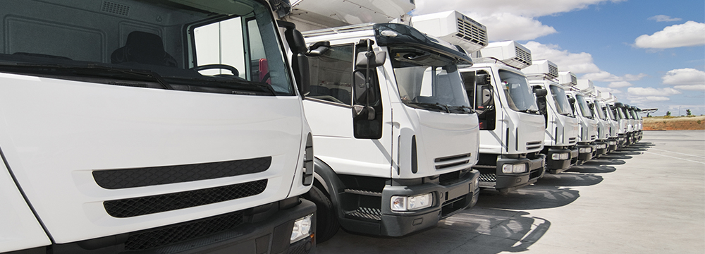 Fleet of Trucks