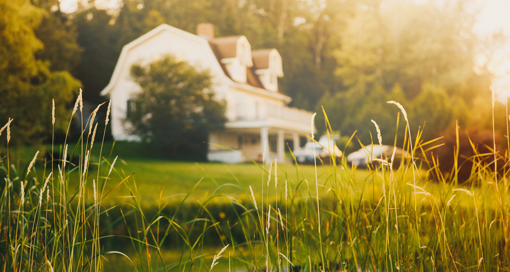 House in the country