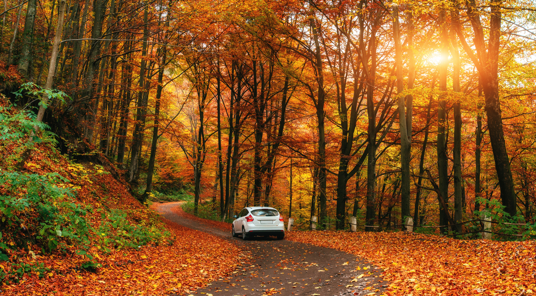 Car driving in fall leaves