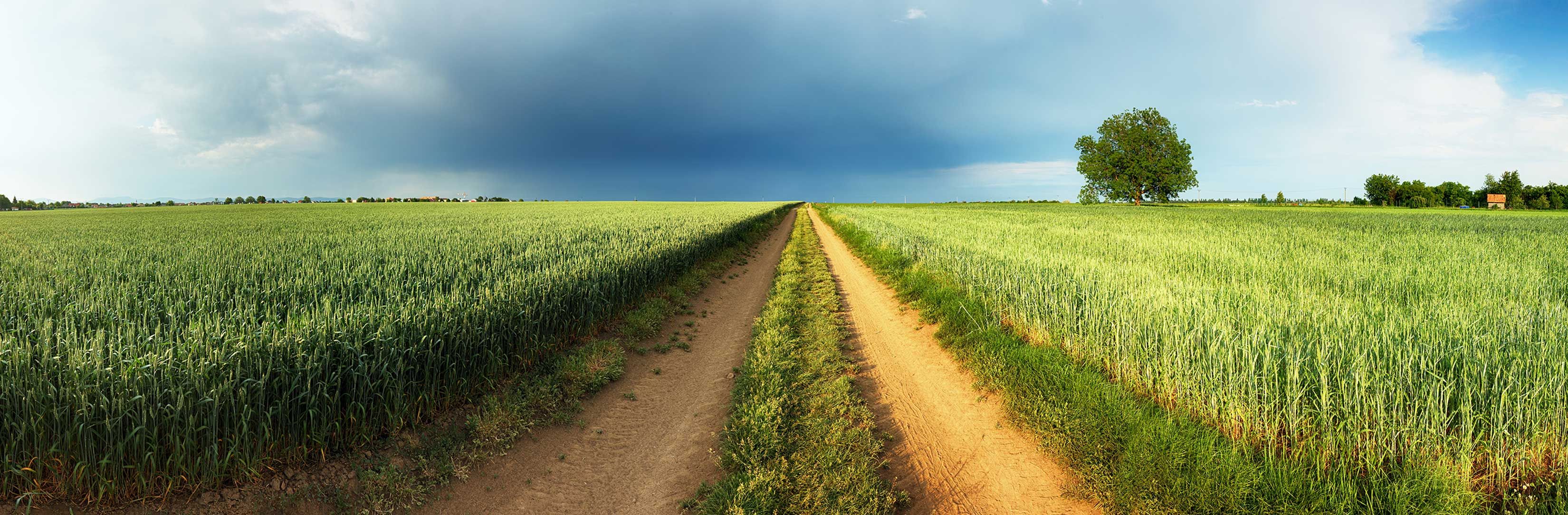 Country road - click here for auto loan rates.